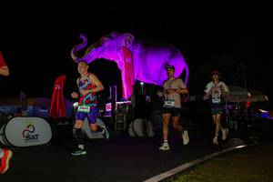 BIB: 
                            <button type="button" onclick="openModal(26543560)" class="btn btn-primary btn-sm float-right btn-popup" data-toggle="modal" data-target=".modal-high-quality">
                        <i class="fas fa-shopping-cart"></i> Add to Cart
                    </button>
                                            <button type="button" onclick="isThisMe(26543560, true)" class="btn btn-success btn-sm float-right btn-popup btn-isme hidden" data-toggle="tooltip" data-placement="bottom" title="นี่คือรูปของคุณใช่ไหม คลิกที่นี่เพื่อเอาเข้าอัลบั้ม">
                        <i class="fas fa-plus"></i> Add to album
                    </button>
                    <button type="button" onclick="isThisMe(26543560, false)" class="btn btn-warning btn-sm float-right btn-popup btn-isnotme hidden">
                        <i class="fas fa-ban"></i> Remove from album
                    </button>